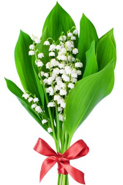 Vadi çiçeğinin zambağı kırmızı düğümlü beyaz arka planda, kapalı, güzel zambaklar demeti, yeşil yapraklar ve pembe kurdele, convallaria majalis, tebrik kartı için sanat çiçeği tasarımı