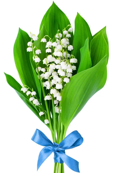 Lily Völgyben Virág Csokor Kék Bowknot Fehér Háttér Elszigetelt Közeli — Stock Fotó