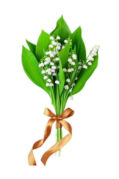 Lily Völgyben Virág Csokor Barna Bowknot Fehér Háttér Elszigetelt Közeli — Stock Fotó