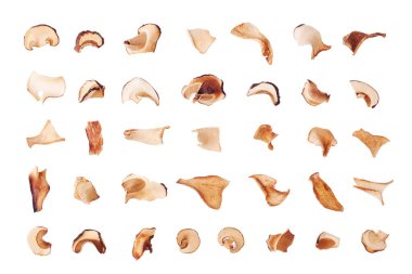 Beyaz arka planda yenebilir kurutulmuş mantarlar yakın planda, kuru boletus edulis, doğranmış kahverengi başlık boletus, dilimlenmiş bozuk para çöreği, bir parça cep, porcino veya porcini, kesilmiş beyaz mantar üst görünümü