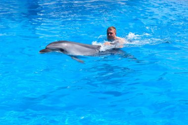 Genç bir adam yunusa biniyor, çocuk yunuslarla mavi suda yüzüyor su havuzunda, denizde, okyanusta, yunus bir adamı kurtarıyor.