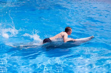 Genç bir adam arkada yunusa biniyor, çocuk yunuslarla birlikte mavi suda yüzüyor su havuzunda, denizde, okyanusta, yunusta bir adamı kurtarıyor.