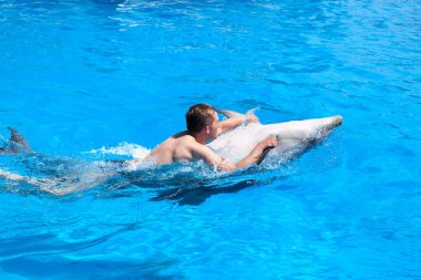 Genç bir adam yunusa biniyor, çocuk yunuslarla birlikte mavi sularda yüzüyor su havuzunda, denizde, okyanusta, yunusta bir adamı kurtarıyor.