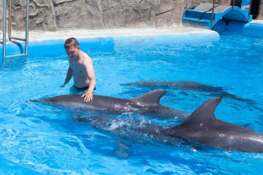 Su havuzunda mavi sularda büyük yunusları olan genç bir adam.