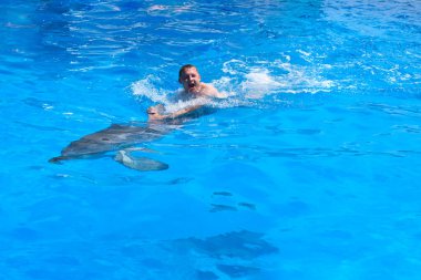 Genç bir adam yunusa biniyor, çocuk yunuslarla mavi suda yüzüyor su havuzunda, denizde, okyanusta, yunus bir adamı kurtarıyor.