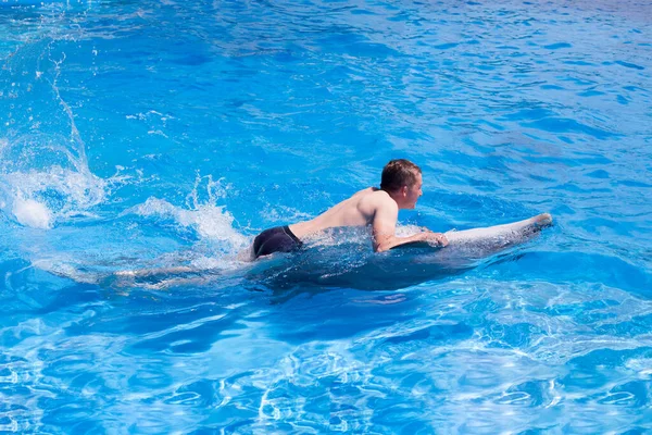 Молодой Человек Едет Дельфине Спине Мальчик Плавает Дельфином Голубой Воде — стоковое фото