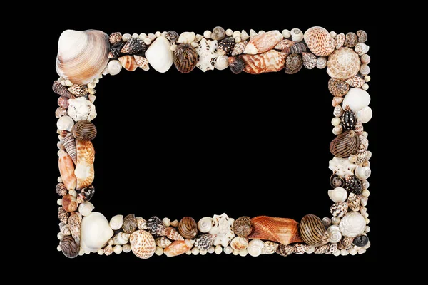 Seashells Pattern Empty Frame Black Background Isolated Close Blank Sea — Stock Photo, Image