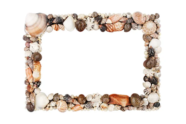 Padrão Seashells Moldura Vazia Fundo Branco Isolado Close Mar Branco — Fotografia de Stock