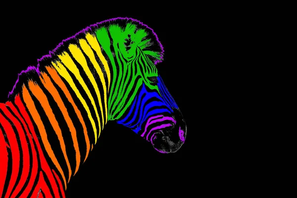 Zebra Head Lgbtq Community Blowed Pattern Color Striped Patterped Black — 스톡 사진