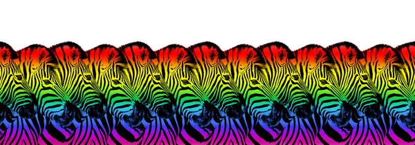 Zebras head LGBTQ community rainbow flag colors seamless pattern white background isolated, LGBT pride art border, frame, banner design, lesbian, gay etc symbol, logo, wallpaper, repeating ornament