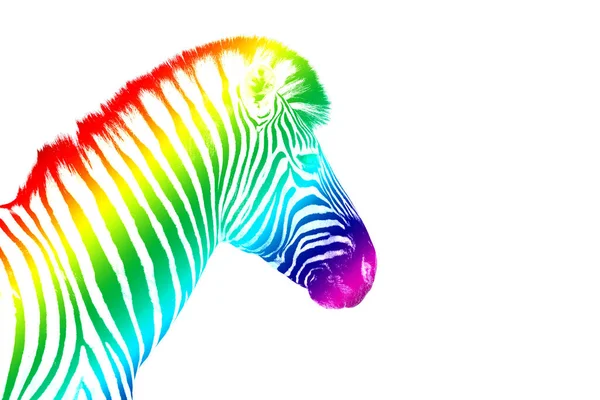 Beyaz Arka Planda Gökkuşağı Renkli Desenli Bir Zebra Başı Izole — Stok fotoğraf