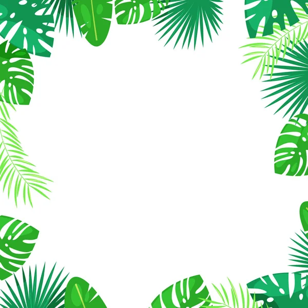 Tropical Palma Deixa Quadro Quadrado Vetorial Fundo Branco Com Lugar — Vetor de Stock