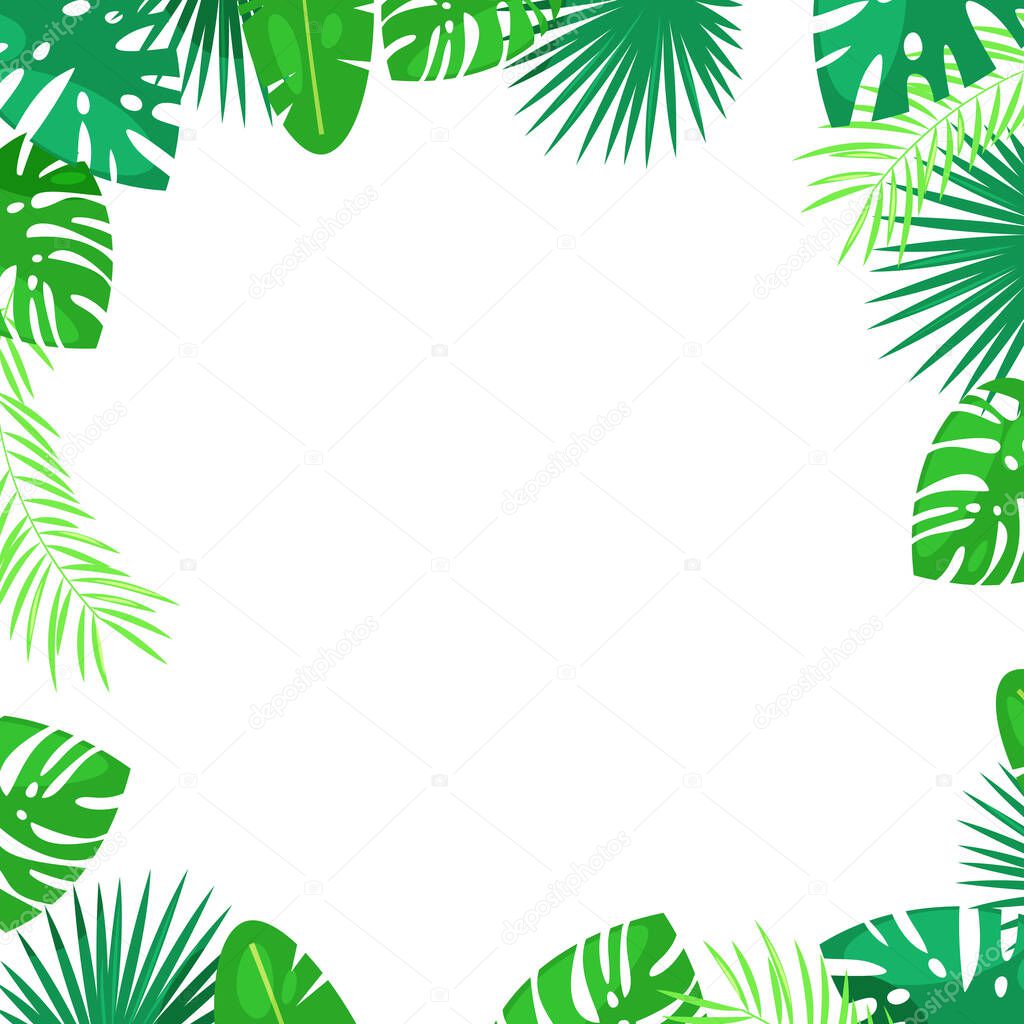 Tropical palm leaves vector square frame. White background with place for text. Jungle exotic plants, summer cartoon illustration.