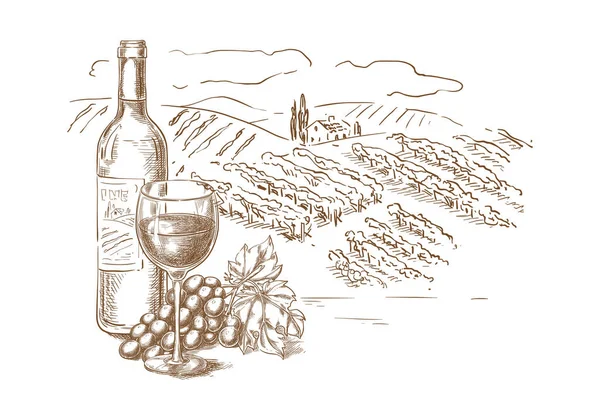 Vigneti Paesaggio Schizzo Vettoriale Illustrazione Bottiglia Vino Rosso Bicchieri Vite — Vettoriale Stock