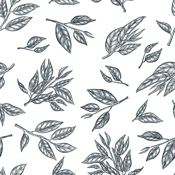Grüner Tee Nahtloses Vektormuster Skizzieren Sie Handgezeichnete Illustrationen Von Blättern — Stockvektor