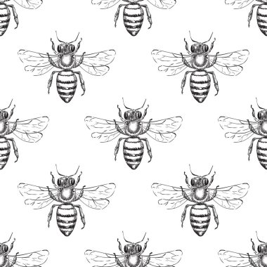 Arı kusursuz vektör deseni. Bal arısının el çizimi çizimi. Moda tekstil baskısı veya bal ambalajı arkaplan tasarımı.