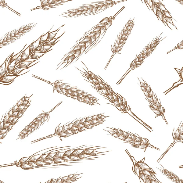 Punte Cereali Grano Modello Vettoriale Senza Soluzione Continuità Illustrazione Disegnata — Vettoriale Stock