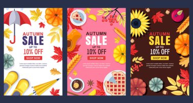 Sonbahar çizimleri. Vektör satışı afişi ya da poster şablonu. Renkli çerçeveler, arka planlar ve tasarım elemanları. Sonbahar hasadı, yemek, aksesuarlar ve yapraklar.