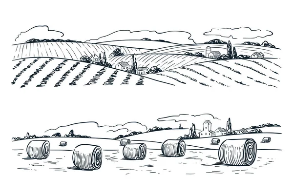 Campos Agrícolas Paisaje Ilustración Bosquejos Vectoriales Agricultura Cosecha Fondo Vintage — Archivo Imágenes Vectoriales