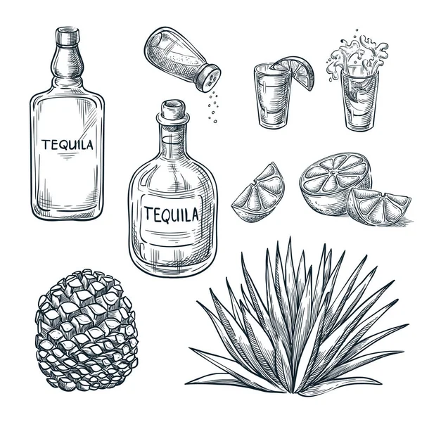 龙舌兰瓶 玻璃杯和配料 病媒草图 墨西哥酒精饮料菜单设计元素 植物和根部图解 — 图库矢量图片