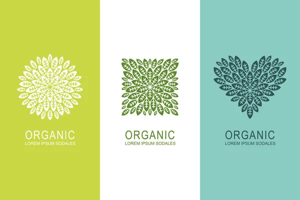 Conceito Logotipo Rótulo Com Folhas Verdes Forma Círculo Quadrado Coração — Vetor de Stock
