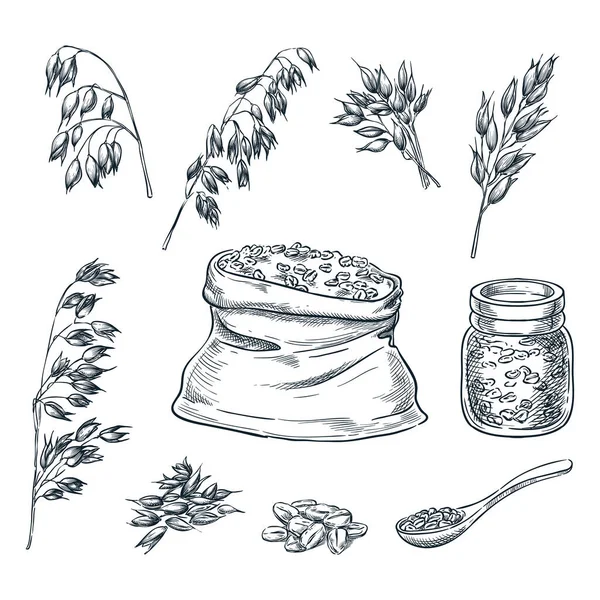 Oreilles Céréales Avoine Grains Sac Porridge Dans Pot Verre Illustration — Image vectorielle