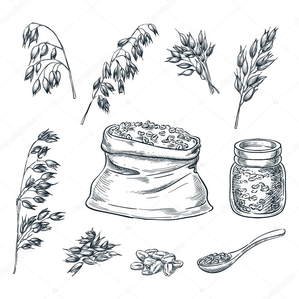 Oats cereal ears, grain in sack and porridge in glass jar. Vector sketch illustration. Hand drawn isolated design elements.