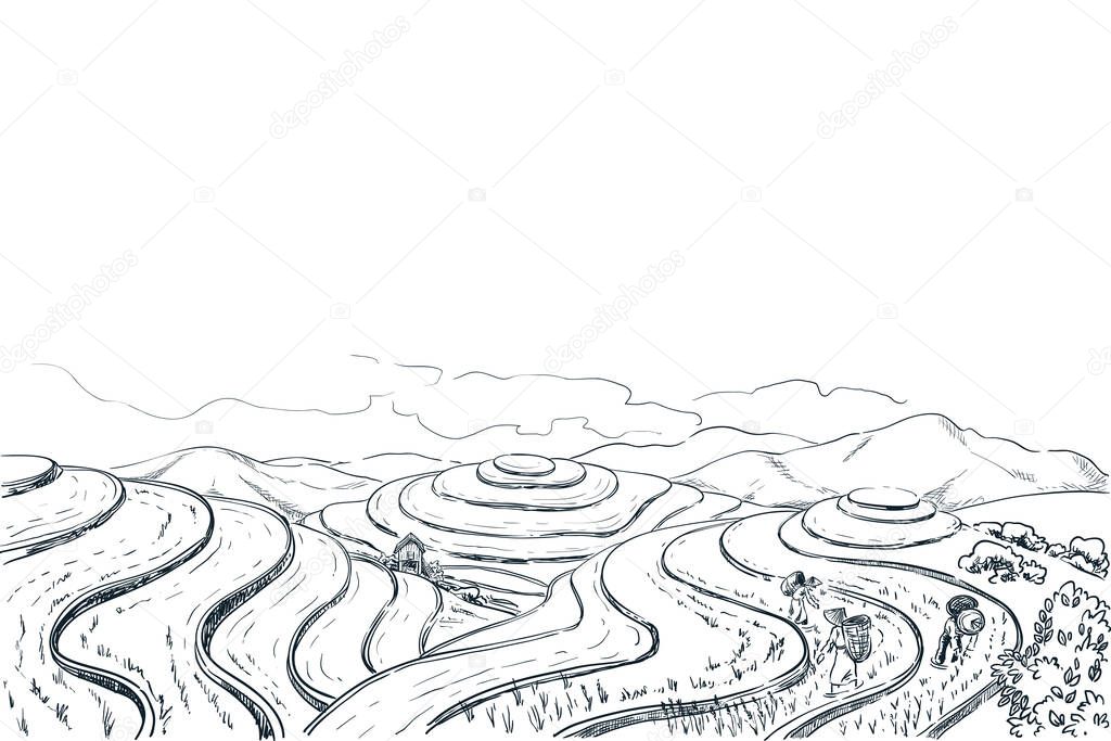 Rice terrace fields, vector sketch landscape illustration. Asian harvesting agriculture vintage background. China rural nature view.