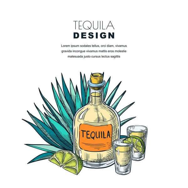 Tequila Skizze Vektorillustration Bar Menü Etikett Oder Verpackungsdesign Flasche Schnapsglas — Stockvektor