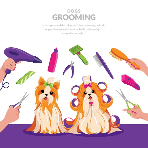 Dog Grooming Vector Cartoon Illustration Pets Care Concept Cute Shih — Stock Vector