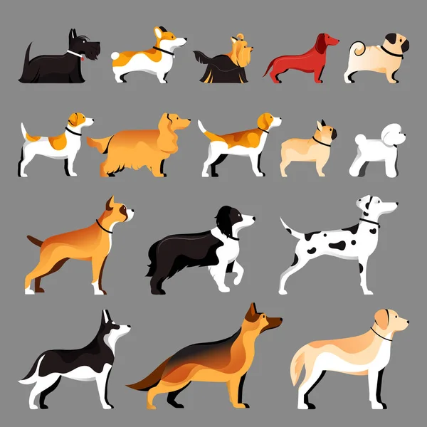 Dog Breeds Set Vector Flat Illustration Pets Icons Collection — Stock Vector