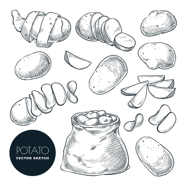 Aardappelen Schetsen Vector Illustratie Aardappeloogst Zak Met Hand Getrokken Landbouw — Stockvector