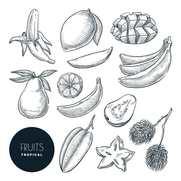 Banane Altri Frutti Esotici Tropicali Illustrazione Schizzo Vettoriale Elementi Design — Vettoriale Stock