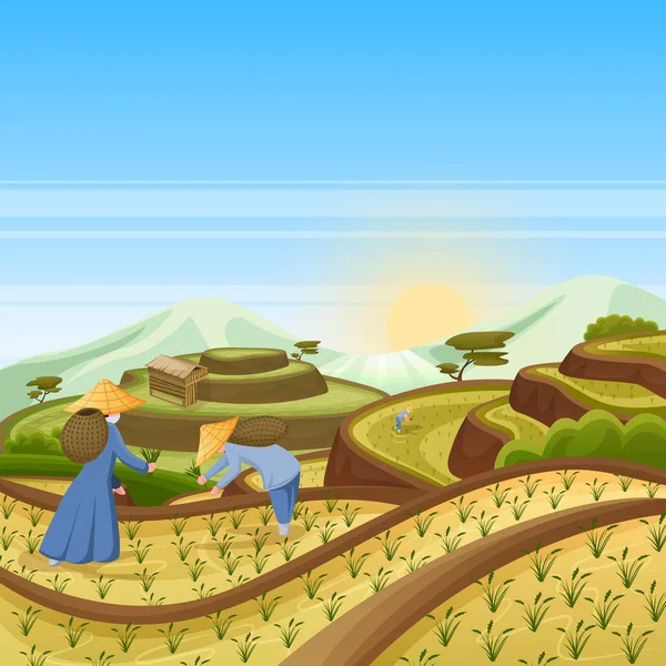 亚洲景观背景与绿色稻田 人们在田里收割水稻 收获和农业病媒卡通画 — 图库矢量图片