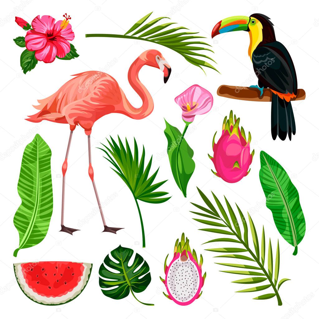Summer tropical design elements set, isolated on white background. Vector cartoon illustration of toucan, flamingo, palm leaves and dragon fruit.