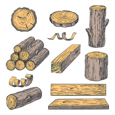 Wood logs, trunk and planks, vector color sketch illustration. Hand drawn wooden materials isolated on white background. Firewood set. clipart
