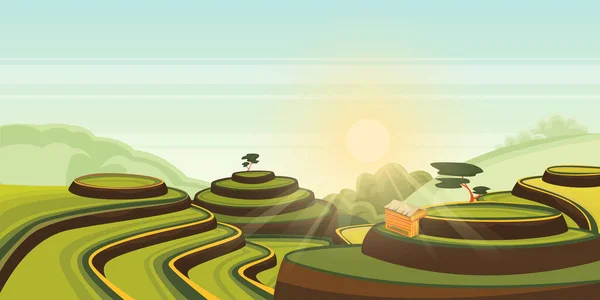 棚田での稲作の成長 緑の農地の風景のベクトル漫画のイラスト アジアの田園風景の背景 中国における穀物や茶の収穫 — ストックベクタ