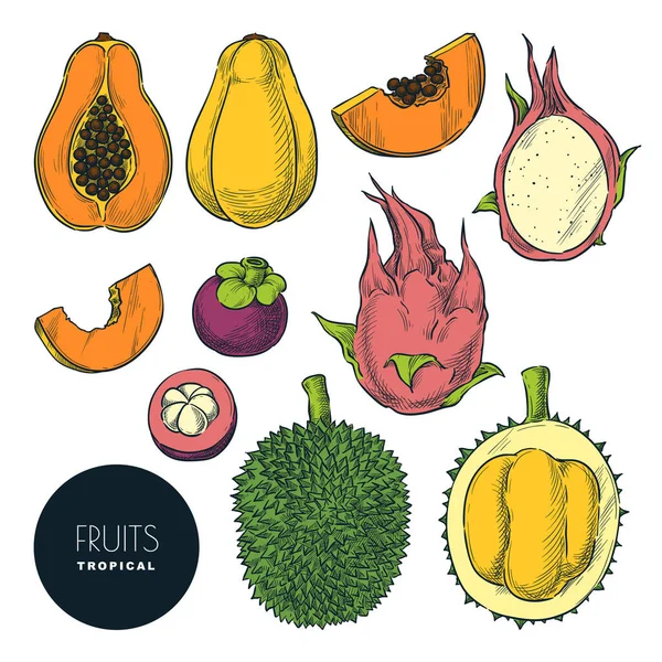 Tropische Früchte Isoliert Auf Weißem Hintergrund Vektor Farbskizze Illustration Und — Stockvektor