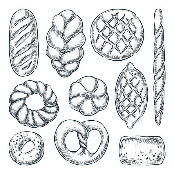 Vers Gebakken Brood Geïsoleerd Witte Achtergrond Vector Hand Getekend Schets — Stockvector