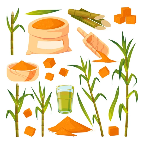 Roślina Trzciny Cukrowej Zielone Liście Wektor Płaska Ilustracja Kreskówka Brązowy — Wektor stockowy