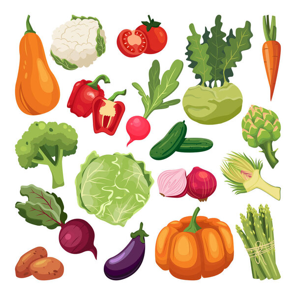 Farm fresh vegetables set. Vector flat cartoon illustration. Isolated broccoli, pumpkin, asparagus, artichoke, kohlrabi. Autumn farming and harvesting design elements.