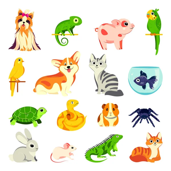 Animaux Compagnie Animaux Prêts Illustrations Vectorielles Dessins Animés Plats Animaux — Image vectorielle