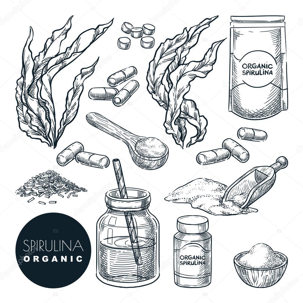 Spirulina seaweeds set, sketch vector illustration. Kelp leaves, powder and pills. Hand drawn superfood design elements, isolated on white background.