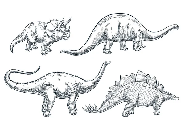 Dinosaurus Set Geïsoleerd Witte Achtergrond Vector Hand Getekend Schets Illustratie — Stockvector