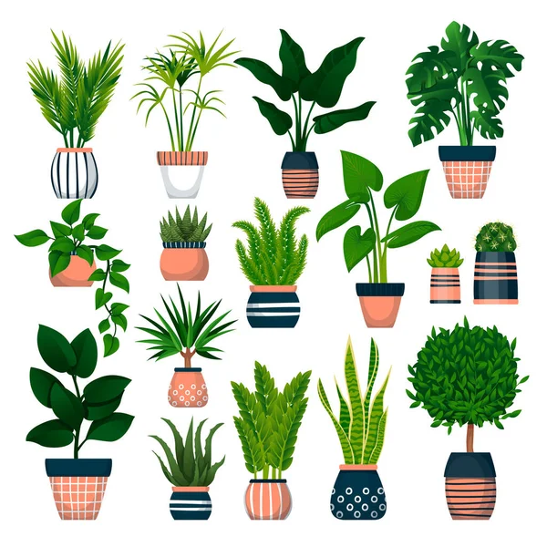 白い背景に隔離された装飾用のポットの家庭用植物 緑の鉢植えのベクトルフラット漫画イラスト 家の部屋の装飾デザイン要素 — ストックベクタ