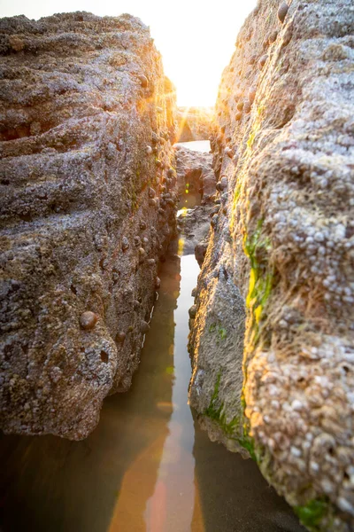 Ljus Belysning Mellan Två Bultar — Stockfoto