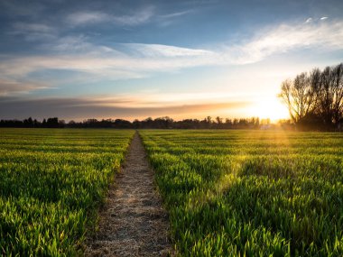 St Thomas, Fairfield 'deki Becket Kilisesi. Sisten önce gün doğumunda..