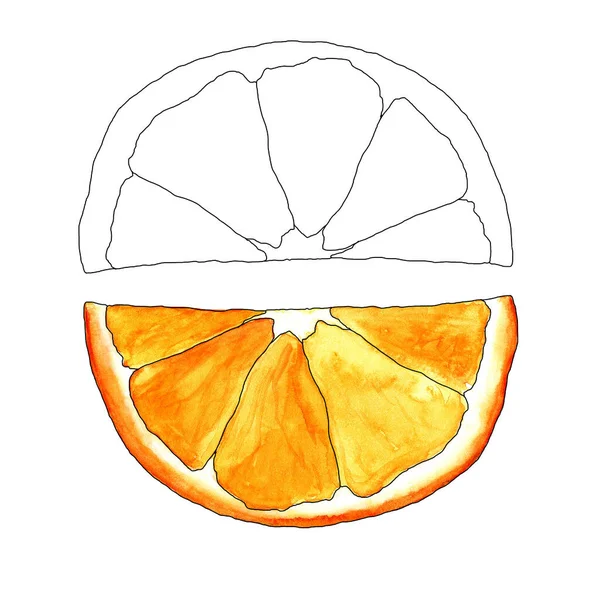 Set ilustración de rodajas de naranja acuarela y versión gráfica aislada sobre un fondo blanco para la plantilla de diseño — Foto de Stock