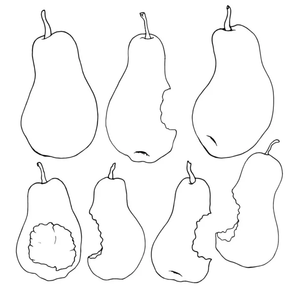 Croquis Poire Illustration Fruits Dessinés Main Isolés Sur Fond Blanc — Image vectorielle