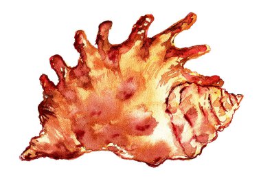 Güzel bir illüstrasyon, parlak yaz mevsiminde suluboya deniz kabuğunu boyadı. Beyaz arka planda izole edilmiş kırmızı kahverengi ve sarı kum renkleri.